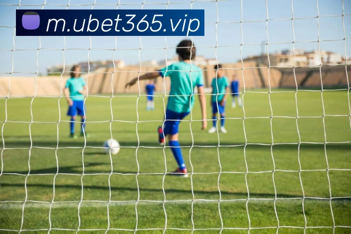 bet365中国官网APP 封面图